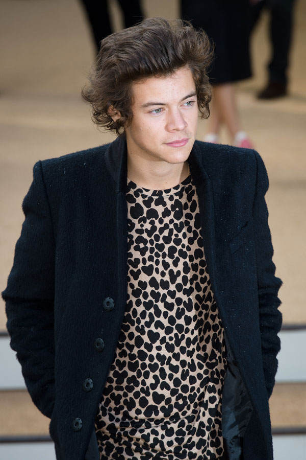 Harry Styles mit zurück gekämmten Haaren