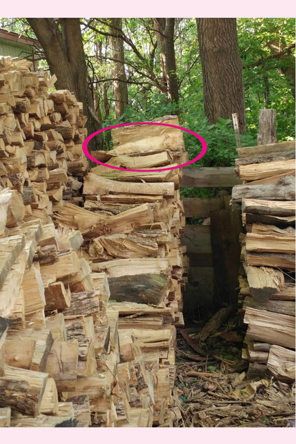 Wo ist die Katze? Auflösung