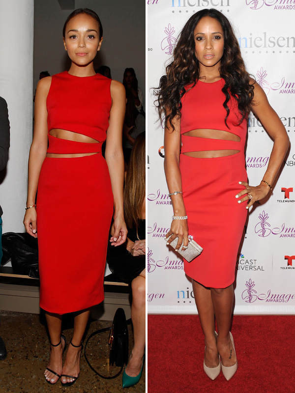 Ashley Madekwe vs. Dania Ramirez
