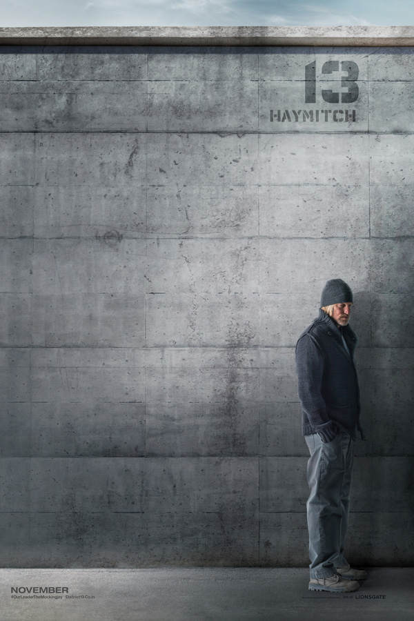 Poster: Haymitch (Woody Harrelson)