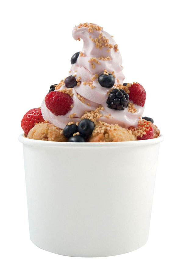 Frozen Yogurt selbermachen
