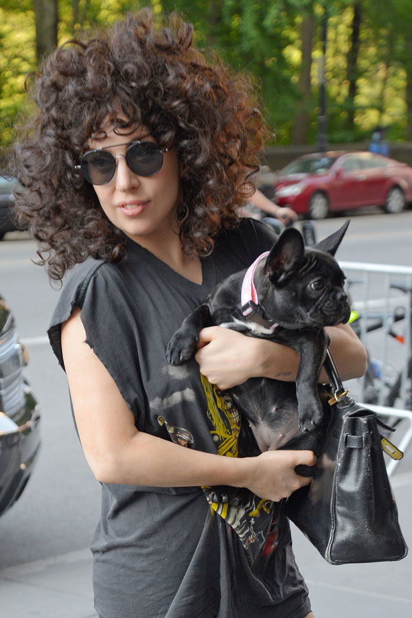 Lady Gaga mit XXL-Locken
