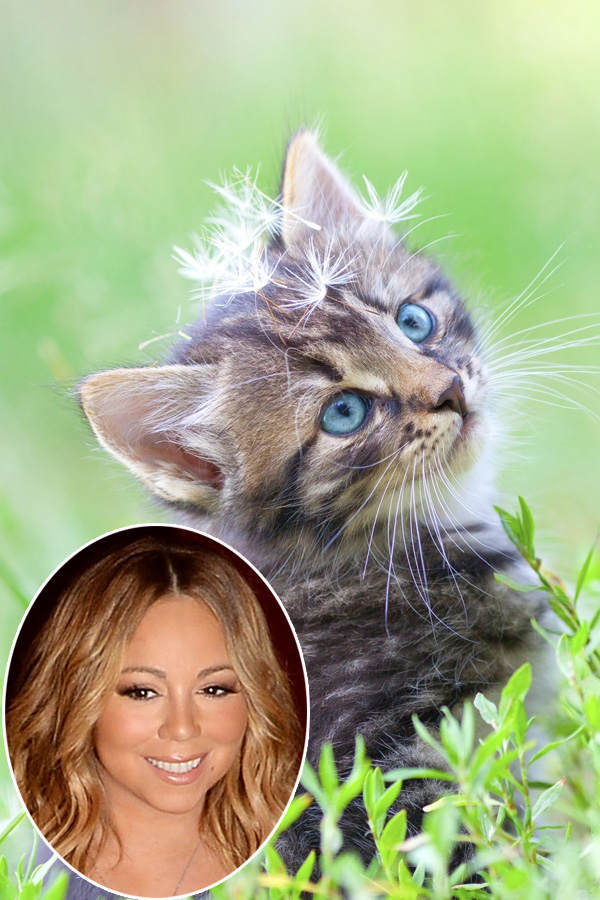 Mariah Carey: Starallüren-Königin