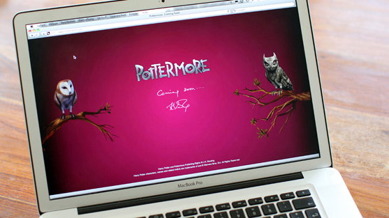 harry-potter-und-die-heiligtuemer-des-todes-trailer-teil-2-557x313-bild-1-1183860.jpg