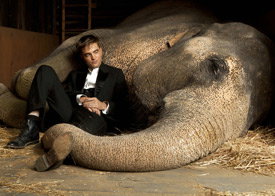 szenenbilder-robert-pattinson-in-wasser-fuer-die-elefanten-275x196-bild-2-1071653.jpg