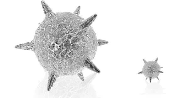 geschlechtskrankheiten-genitalherpes-875384.jpg