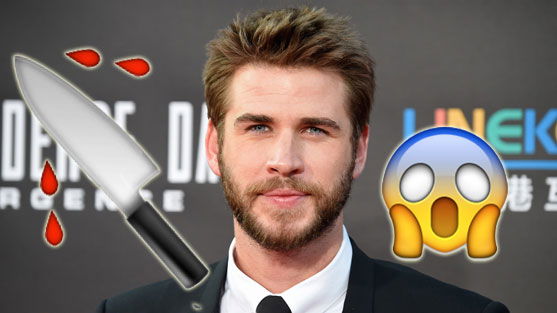Liam Hemsworth: Messer-Attacke auf seinen Bruder Chris