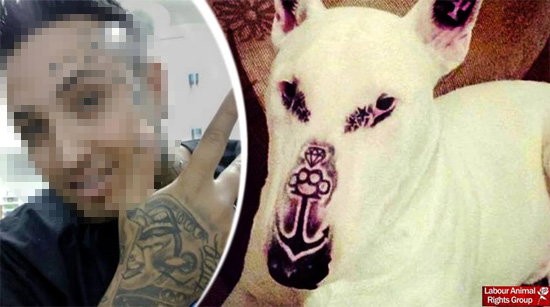 inline-hund-tattoo-2116965.png