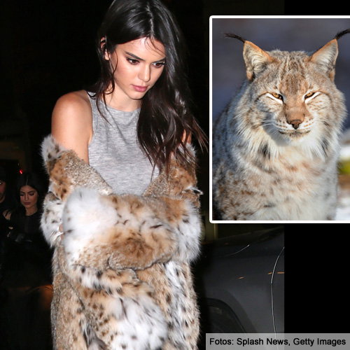 kendall-jenner-pelz-luchs-inline-2106851.jpg