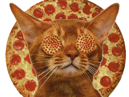 pizza-katze-426-2087119.gif