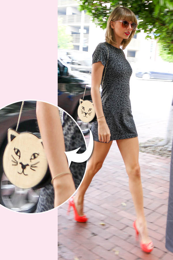 Taylor Swift: Katzen-Tasche