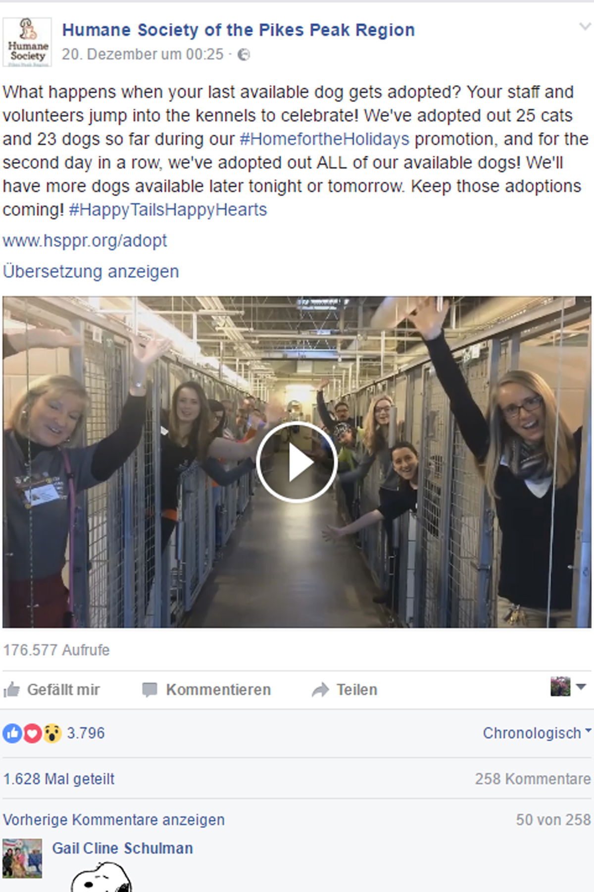 Alle Tierheim-Hunde haben ein neues Zuhause