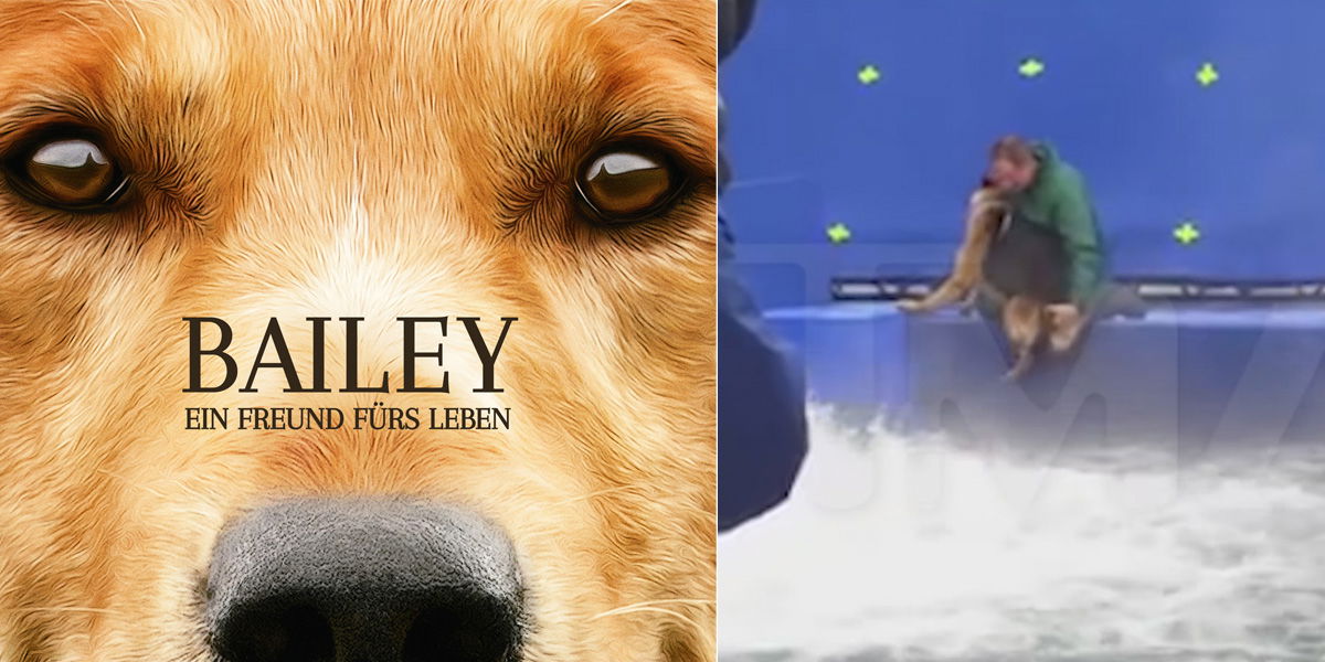 A Dog’s Purpose: Doch keine Tierquälerei am Set?