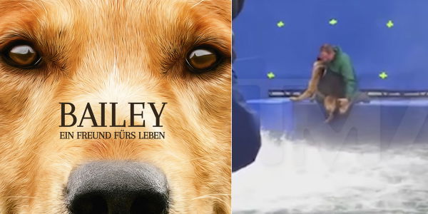 A Dog’s Purpose: Doch keine Tierquälerei am Set?