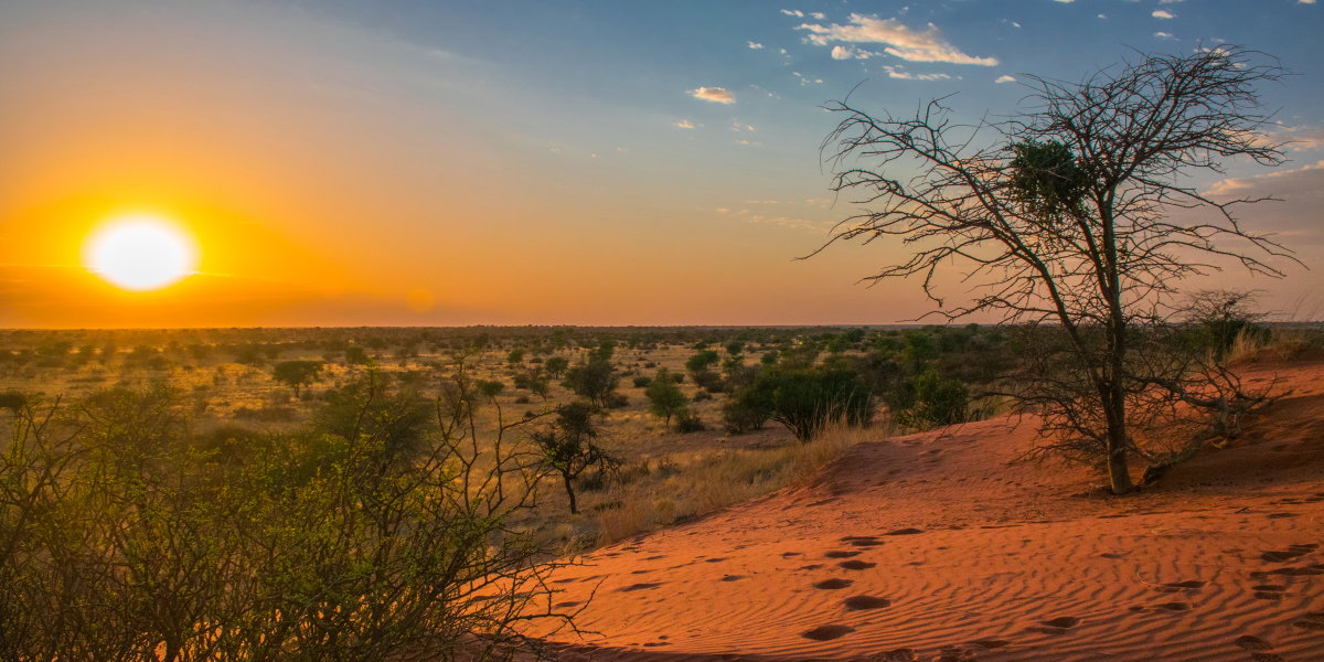 Namibia Inline