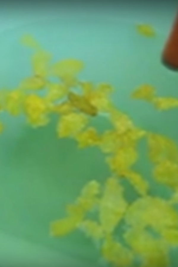 Magnetische Cornflakes