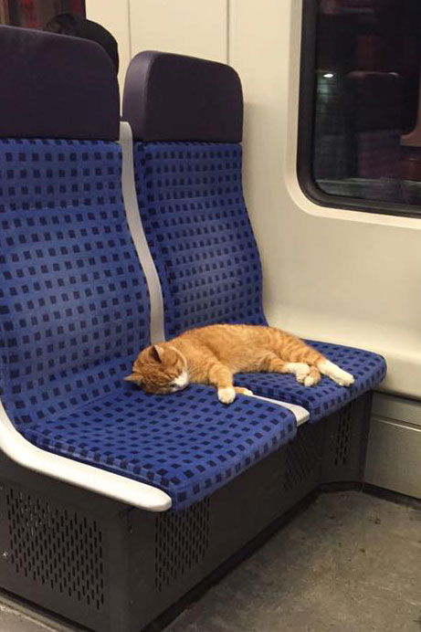 Blinder Passagier in der S-Bahn