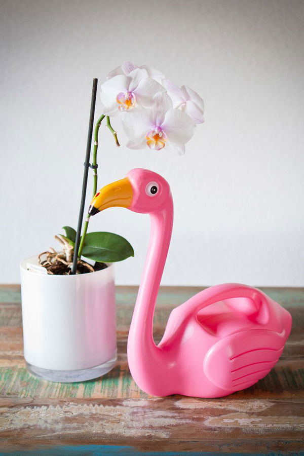 Pinke Flamingo-Gießkanne von Radbag.de