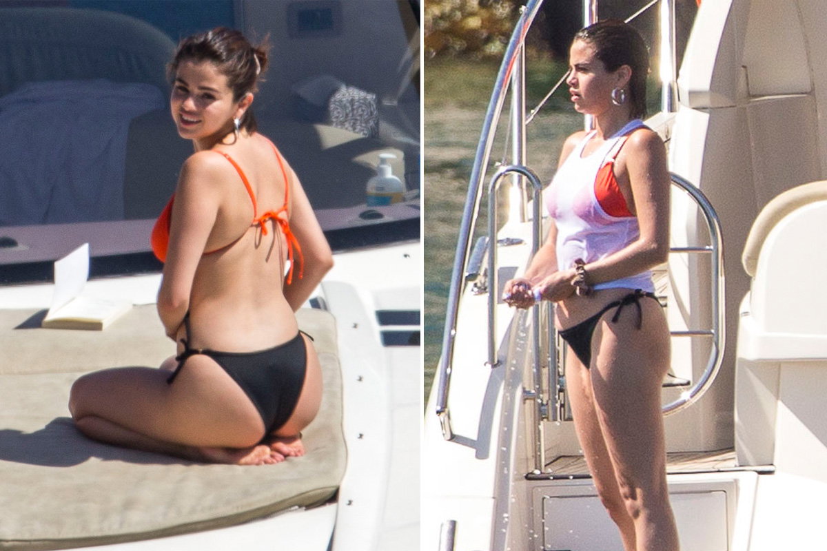 selena-gomez-dick-inline