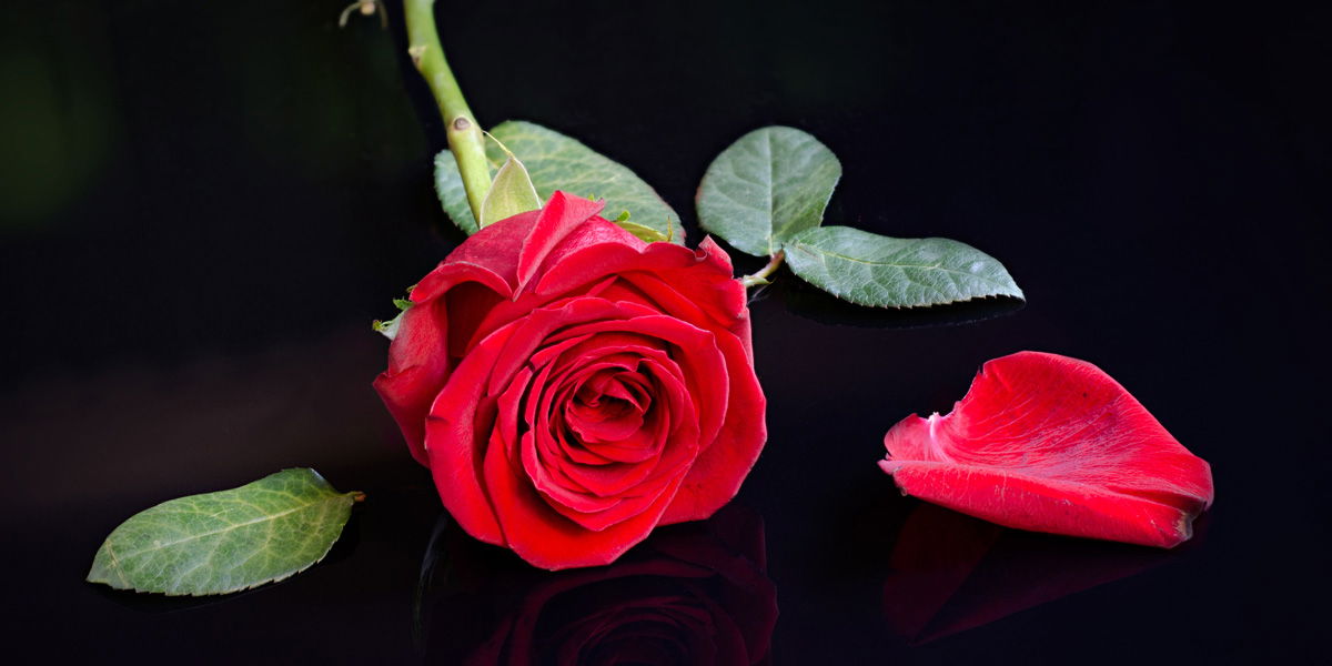 Der Bachelor 2018: So „entwürdigend“ war das Kandidatinnen-Casting
