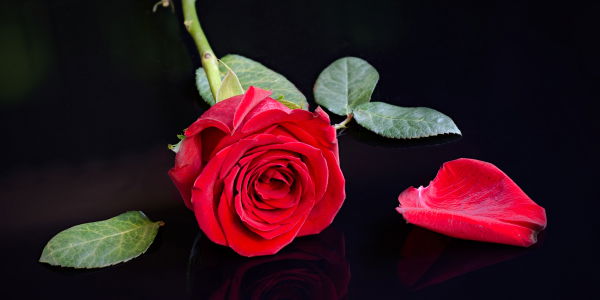 Der Bachelor 2018: So „entwürdigend“ war das Kandidatinnen-Casting