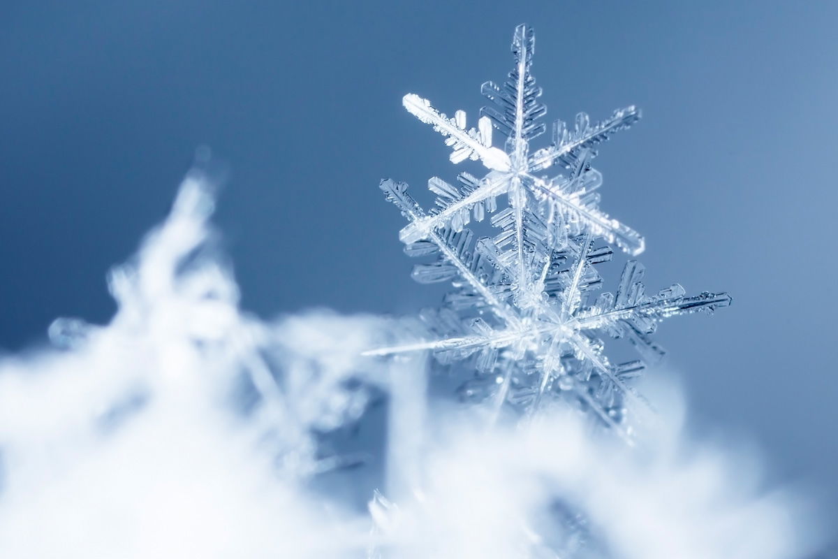 Monster-Schnee
