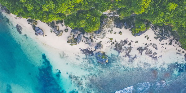 Wir vermüllen mit unserem Plastik das Paradies!
