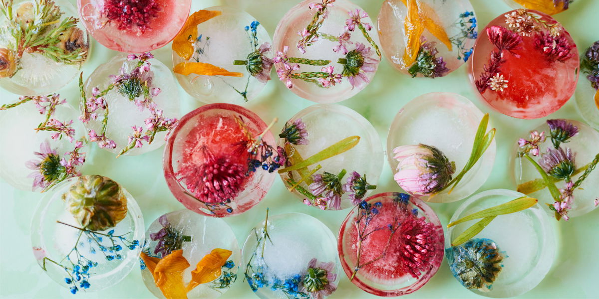 Beauty Cubes: Warum du sie diesen Sommer lieben wirst
