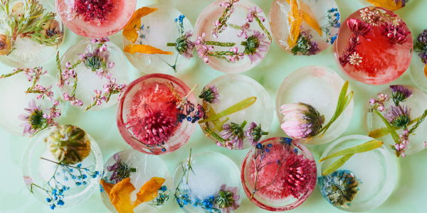 Beauty Cubes: Warum du sie diesen Sommer lieben wirst