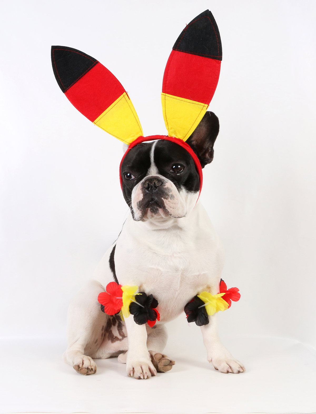 iStock-939514002