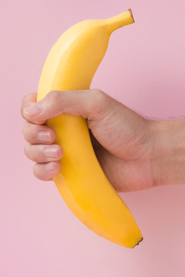 Der Penis und Hoden
