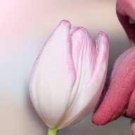 Deep Throat: Was ist das eigentlich?