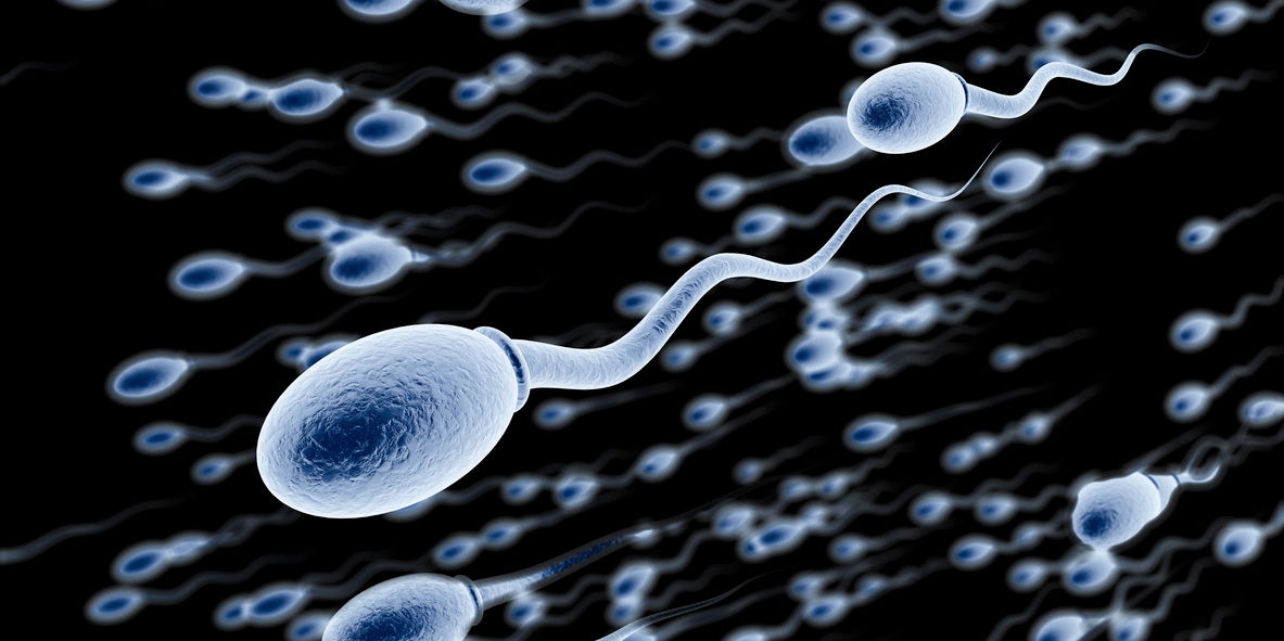 6 verrückte Fakten über Sperma