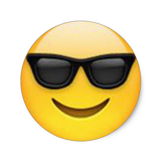 2. Die Sonnenbrille