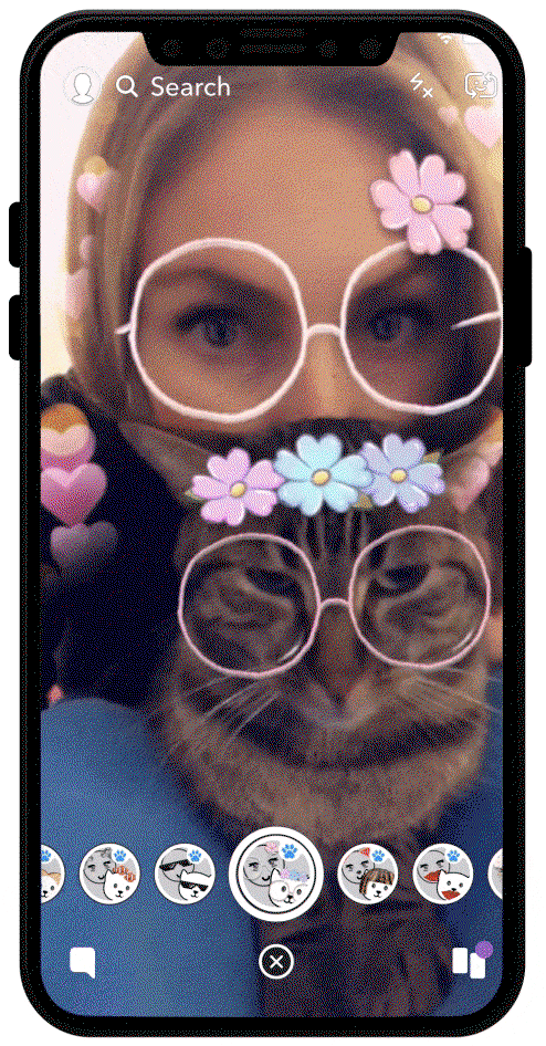 Cat Lenses1