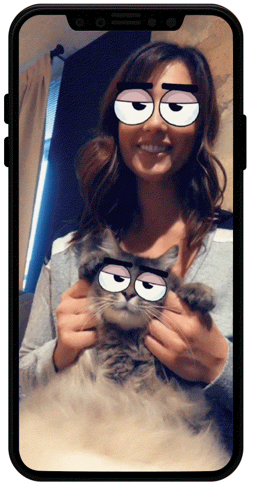 Cat Lenses2