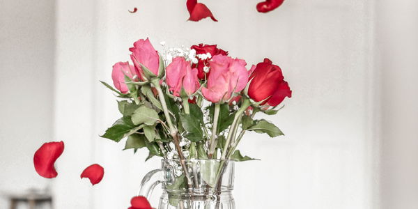 7 GIFs, die zeigen, wie du wirklich über Valentinstag denkst