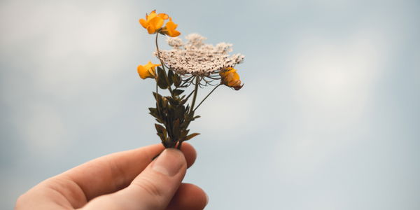 Geburtsblume: Kennst du deine?