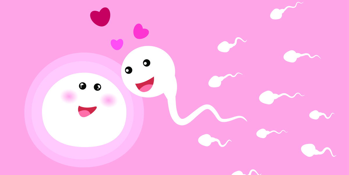 Heute Sex morgen schwanger? So lange dauert eine Befruchtung wirklich