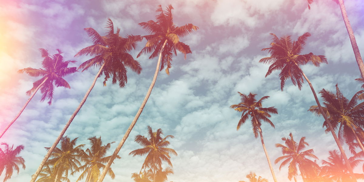 Like-Garantie: Das sind die 3 beliebtesten Instagram-Filter